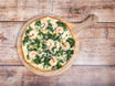 158 Fone Pizza Neptun